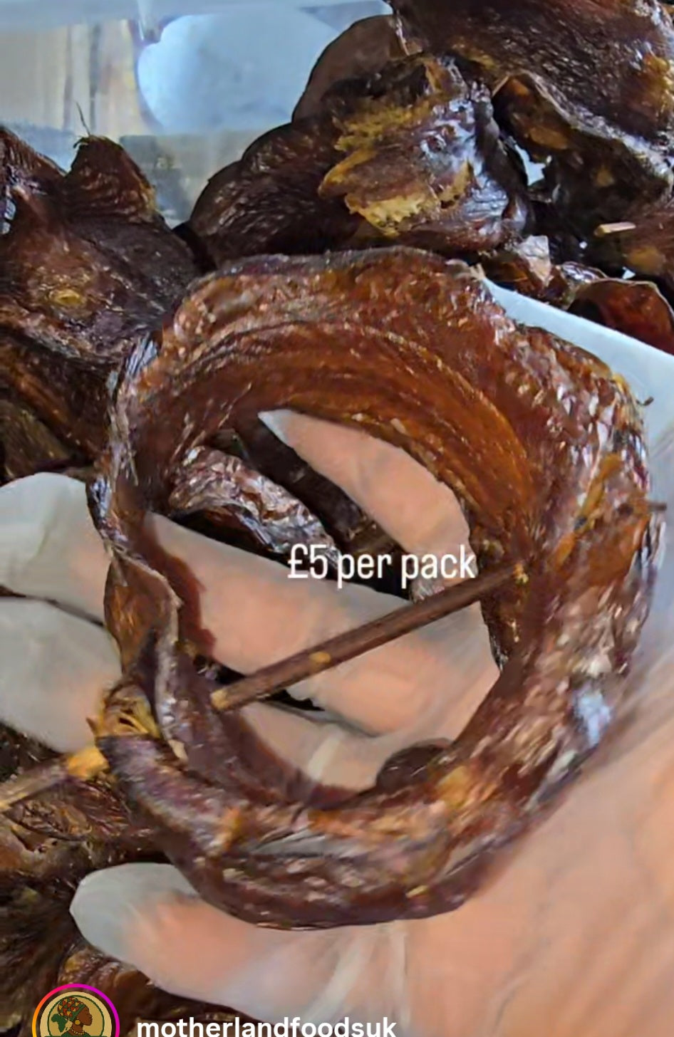 Abo fish ( 5 in a pack )