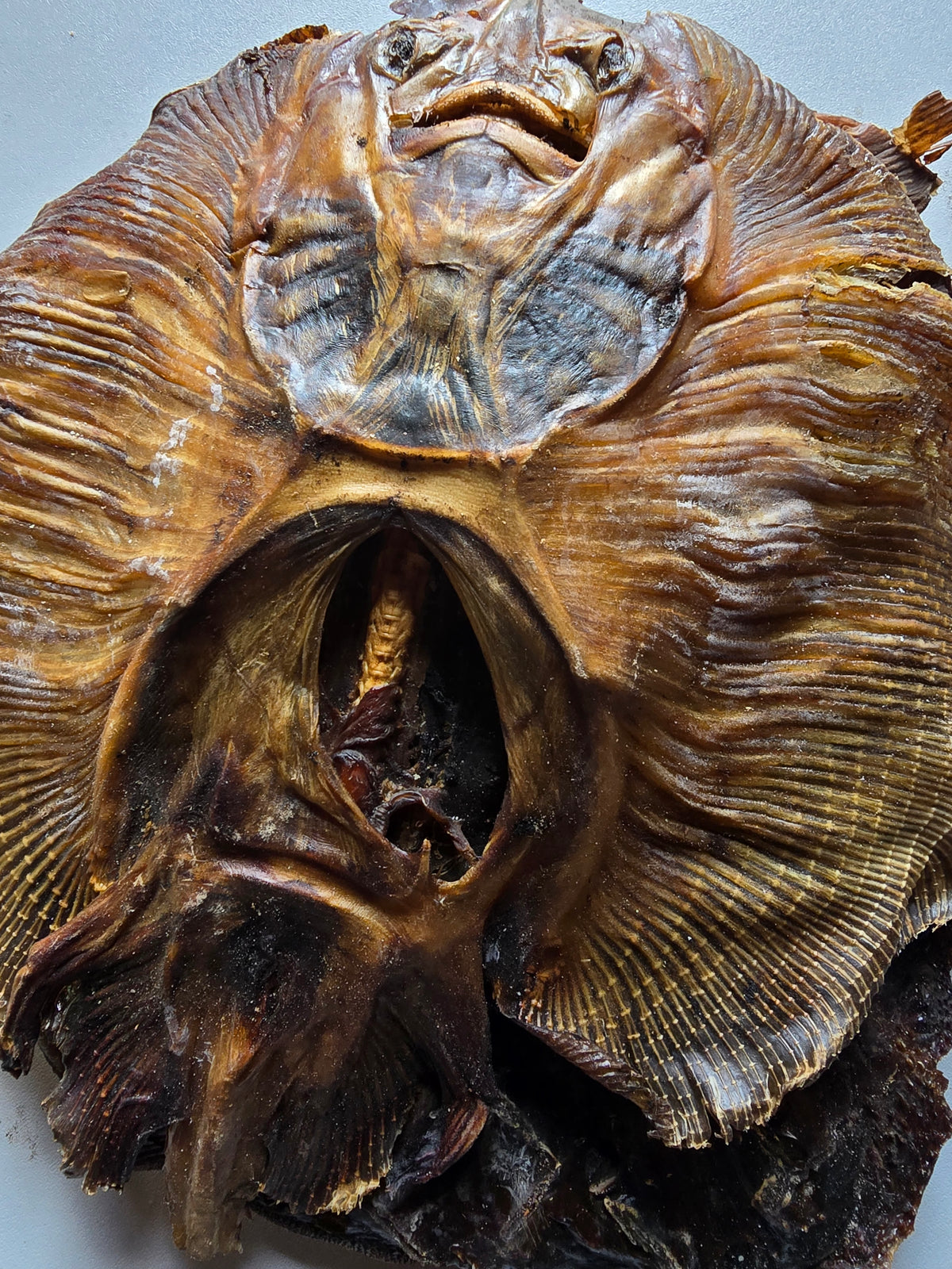 Apatamaja/Abalabafish/Springfish