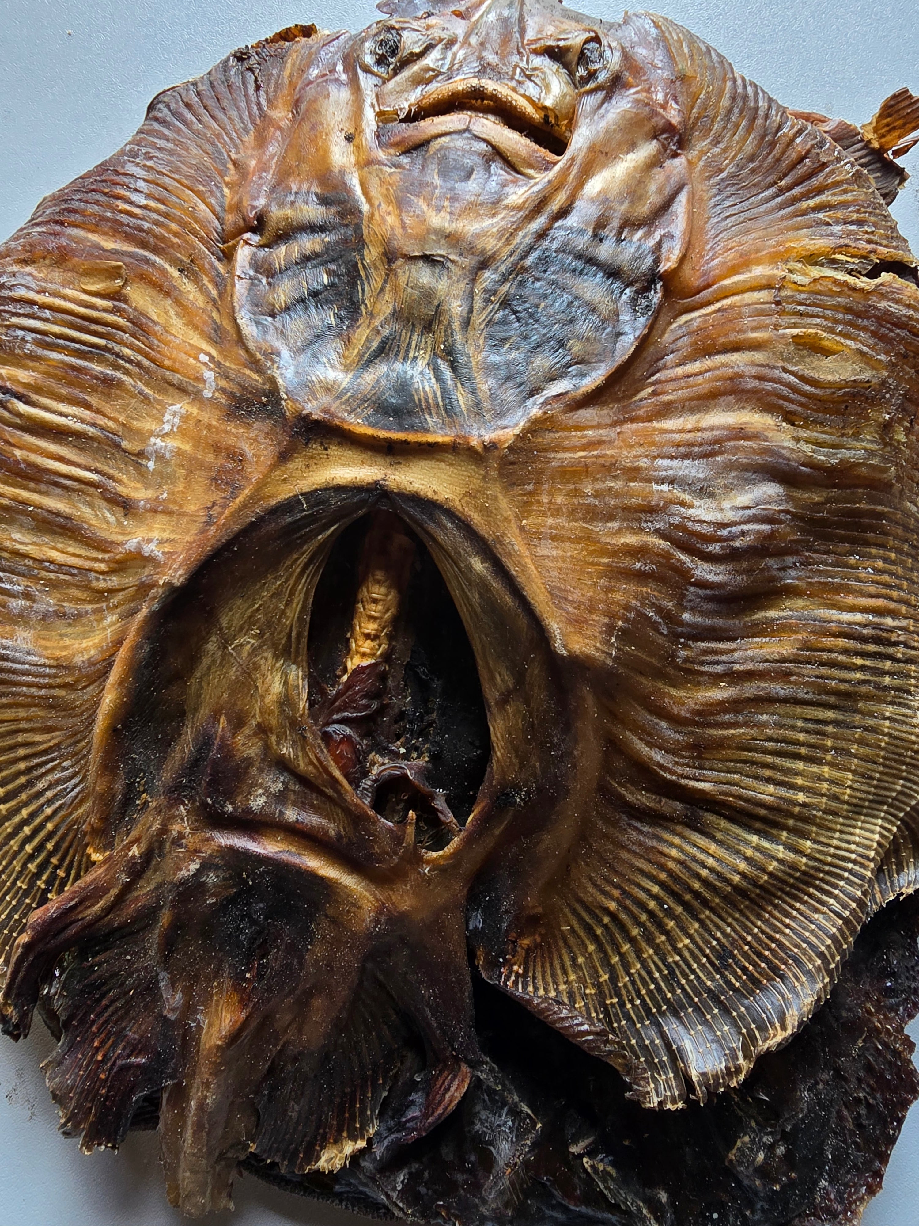 Apatamaja/Abalabafish/Springfish