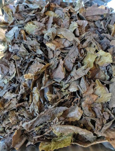 Dry Oha