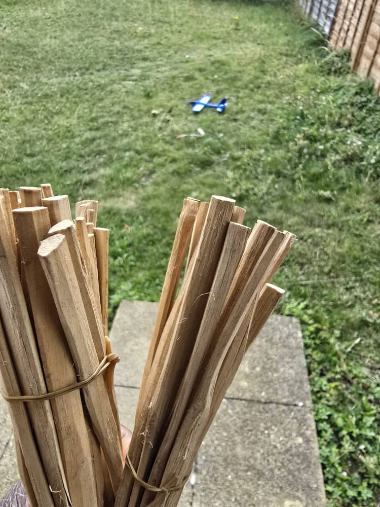 Chewing Stick (Pako) (12 pieces)