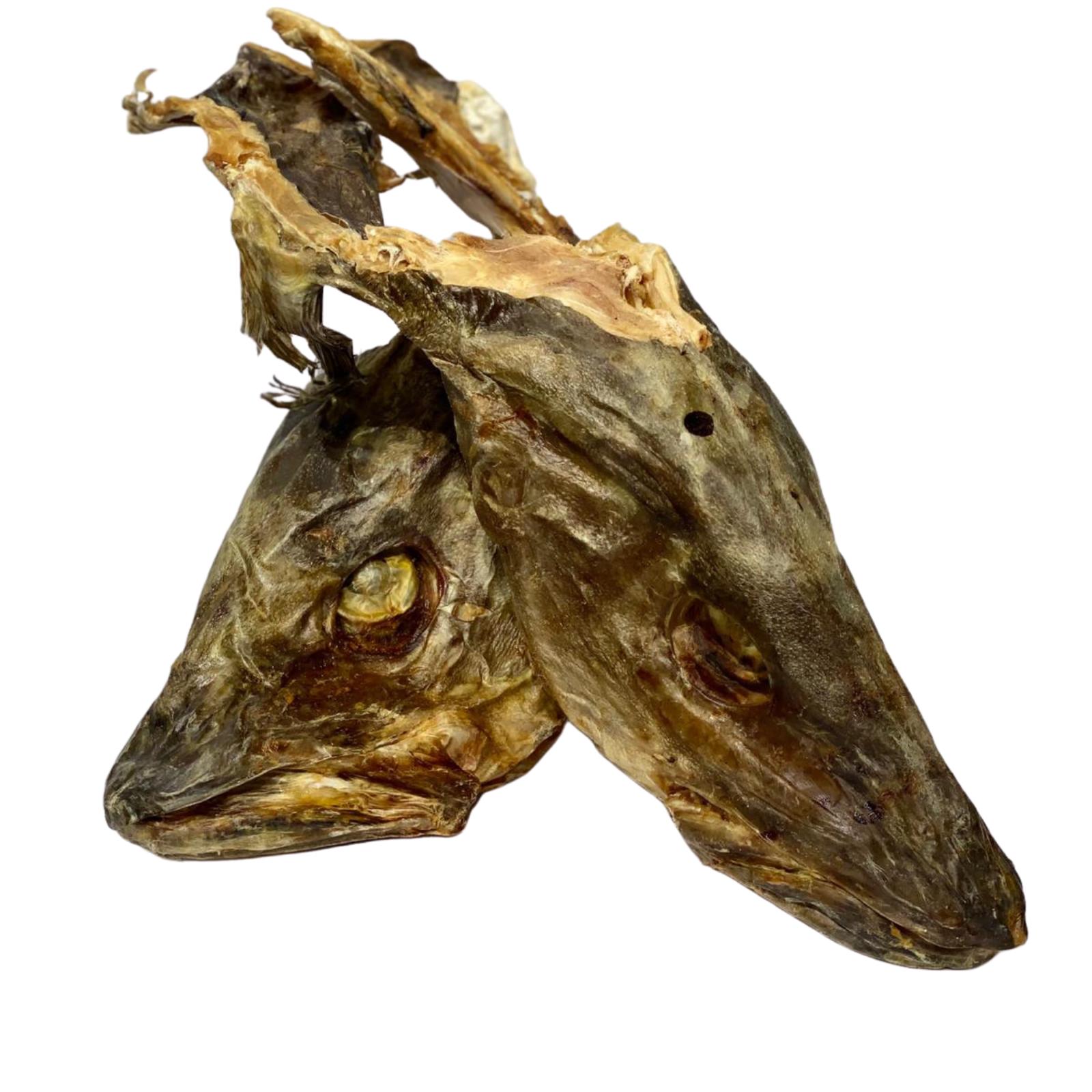 Stockfish Head