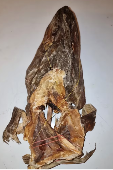 Stock fish head Small size