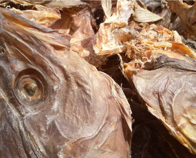 Stock fish head Big size