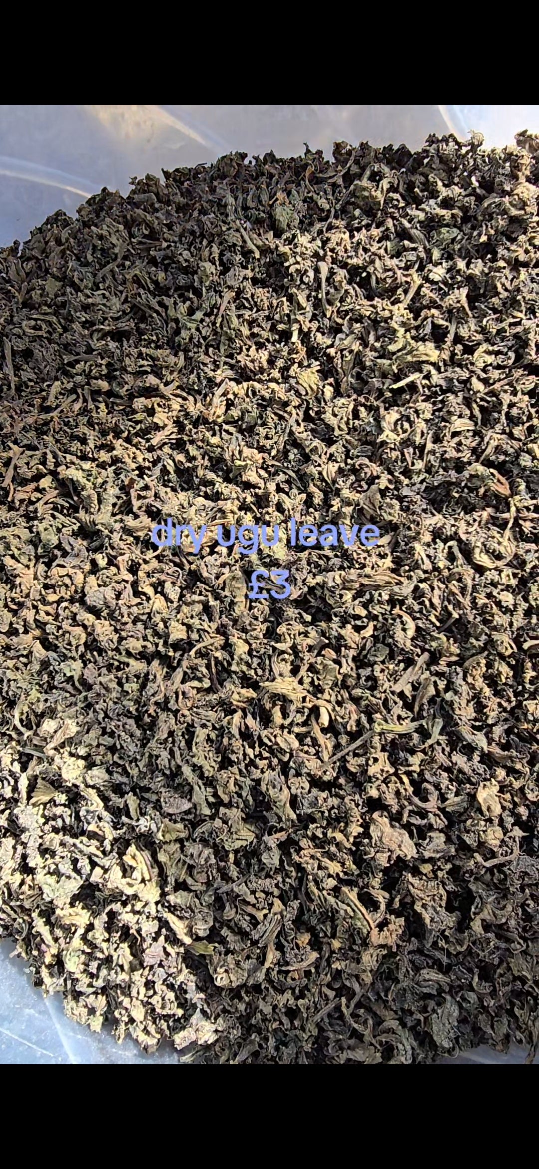 Dry Ugu leave