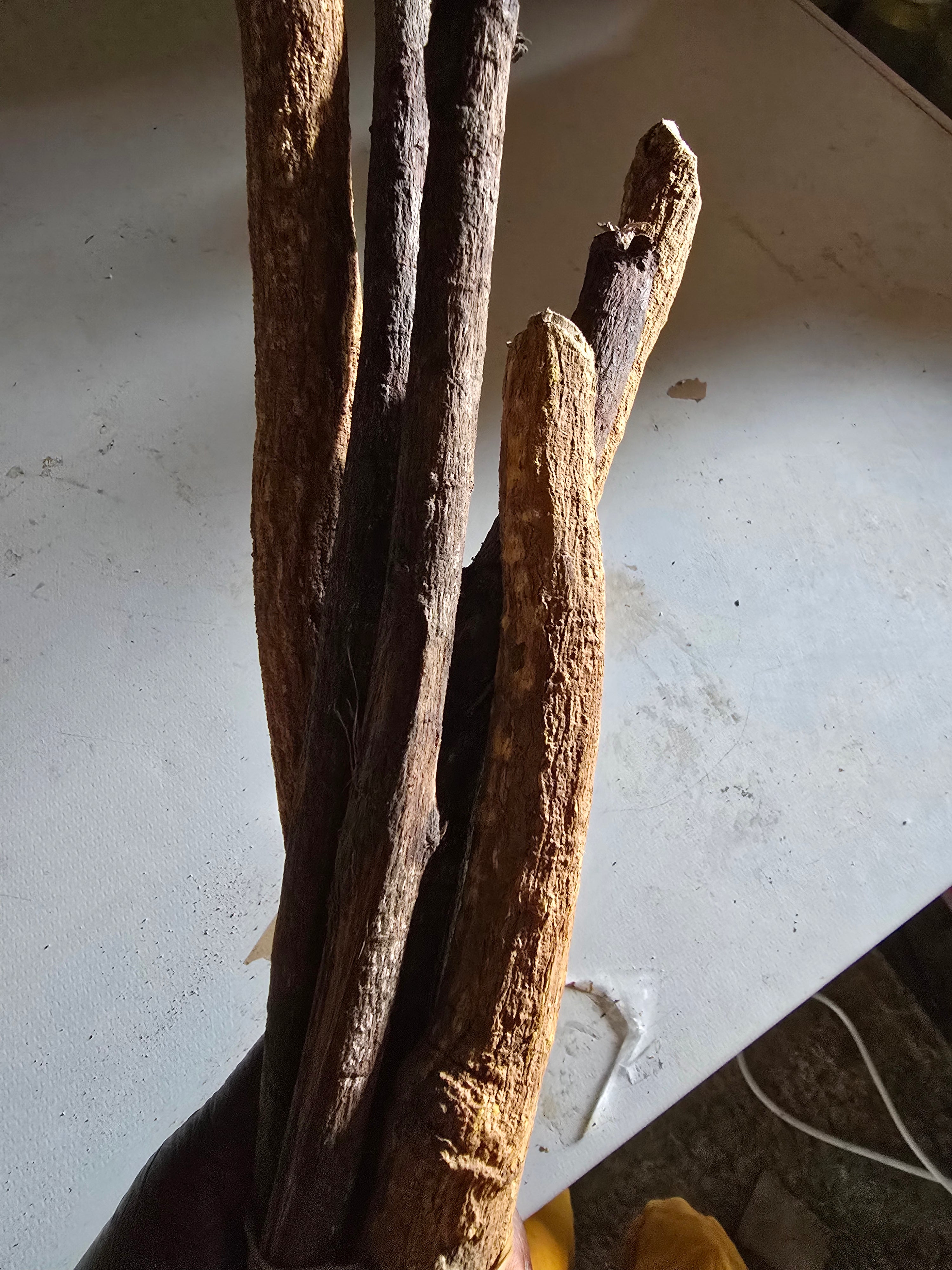 Herbal  chewing stick ( pako )