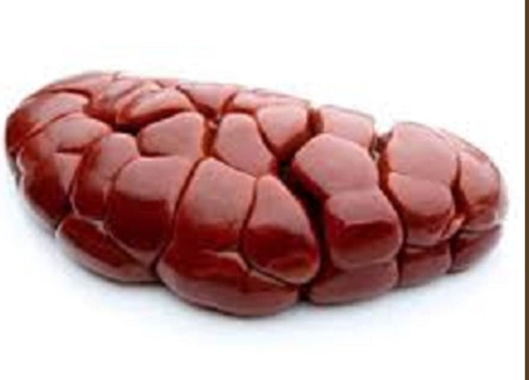 Beef Kidney