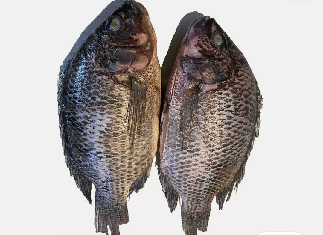 Tilapia fish 5kg