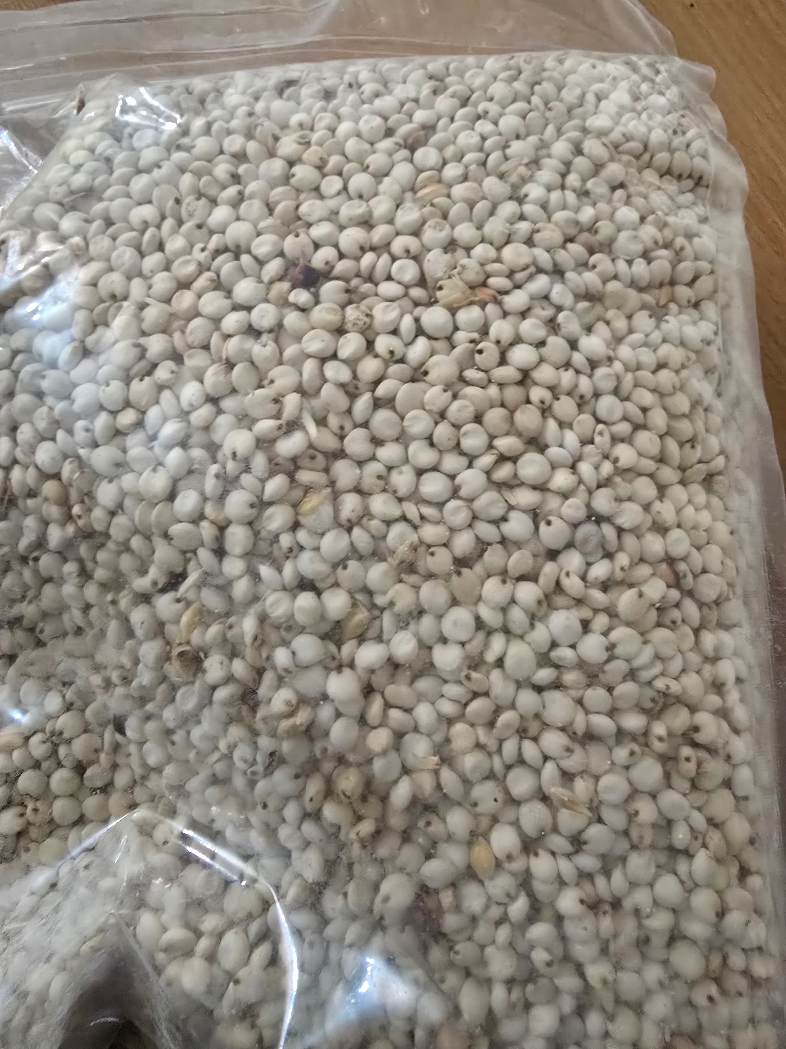 White Millet ( oka baba )